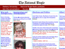 Tablet Screenshot of nationalbugle.com